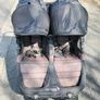 City Mini GT Double buggy Image 6