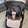 Venicci buggy Image 5