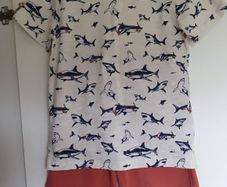 Fatface Shorts & Tshirt 8-9yrs