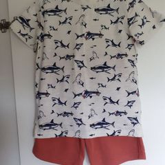 Fatface Shorts & Tshirt 8-9yrs