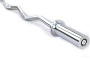 Ez Curl Bar with Bearings and Spring Collars
