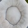 Medium size Cozy Cat or Dog Bed Beige Image 2