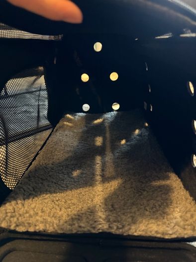 Dog bag