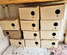 birds nest box