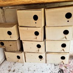 birds nest box