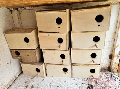 birds nest box