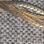 22 Ct Gold Plated Chain Image 5