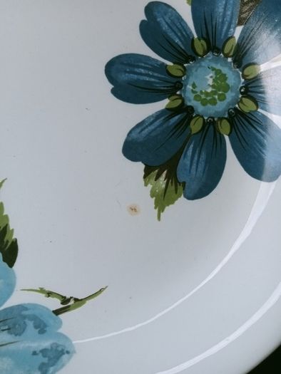 Alfred Meakin  oval dinner plates