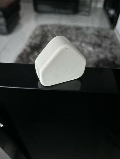 Apple plug