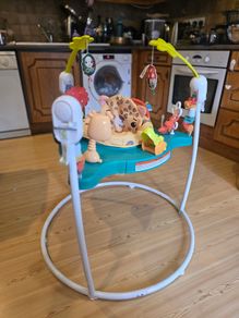Baby jumperoo