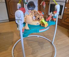 Baby jumperoo
