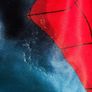 Spiderman Costume Image 3