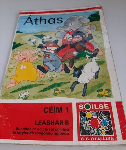 Fallons vintage Gaeilge books