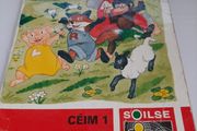 Fallons vintage Gaeilge books