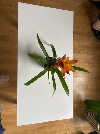 IKEA white coffee table