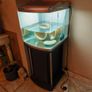 ORCA Fish Tank 90ltr Image 2