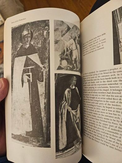What Is Art History. By Mark Roskill. First Edition Paperback In Good Condition.  See Photos For Same.