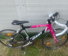 Giant racer bike