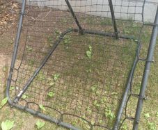 rebounder