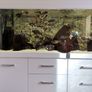 Aquarium, Fish tank, 720L Diversa Image 4