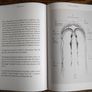 Amazing Jellyfish: Mysterious Dweller of the Deep by Michael Stavaric, Age 9+ Image 7