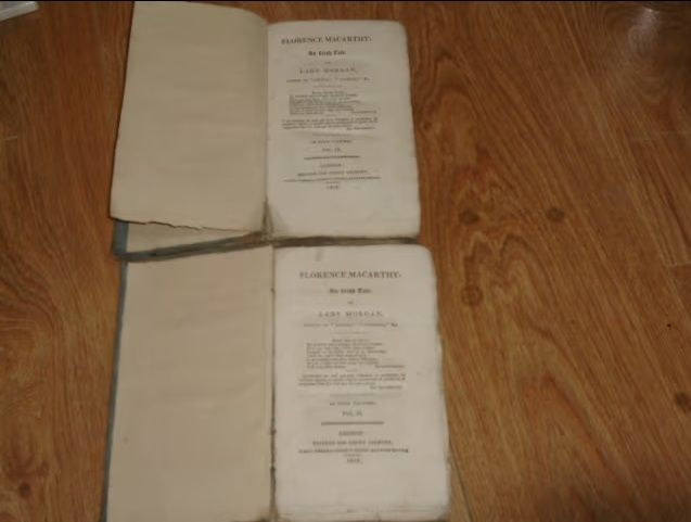 Florence MacCarthy: An Irish Tale Vols 2 & 4 only of 4 Vols  Lady Morgan
