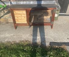 Rabbit hutch