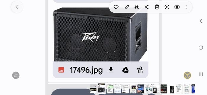 Peavey bass cab