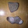 fossils - potentially hundreds of millions of years old Image 4
