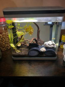 Aquarium