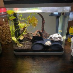 Aquarium