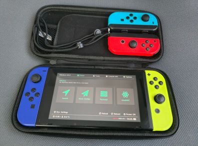 Nintendo Switch V1 (Modded - Picofly) + 256GB + Case
