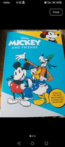 Mickey mouse coin