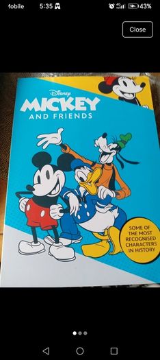 Mickey mouse coin