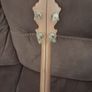 banjo Image 6