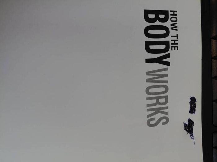How the bodyworks textbook