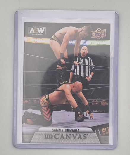 AEW Upper Deck 2021 UD CANVAS Wrestking Trading Card Bundle