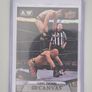 AEW Upper Deck 2021 UD CANVAS Wrestking Trading Card Bundle Image 4