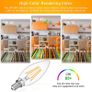 C12 led light bulb 5pcs Image 6