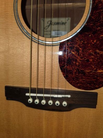 Jasmine acoustic guitar