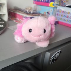 Build a bear mini axolotl