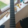 Guitar Parker P42 Image 5