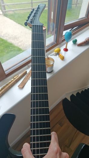 Guitar Parker P42