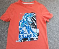 boy's TRex t-shirt. Age 6/7