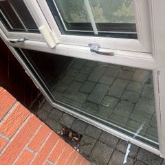 window
