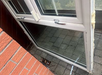 window