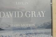 David Gray CD - Life In Slow Motion