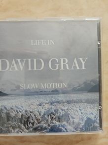 David Gray CD - Life In Slow Motion