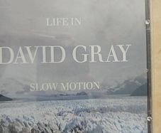 David Gray CD - Life In Slow Motion