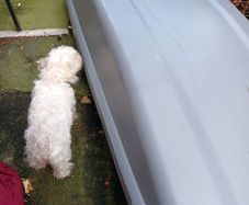 roof box